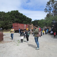 Other Website Content 