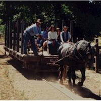 Ardenwood recreation of horse-drawn service